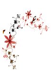 花与花纹