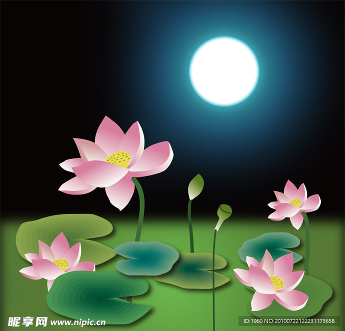 月光荷花