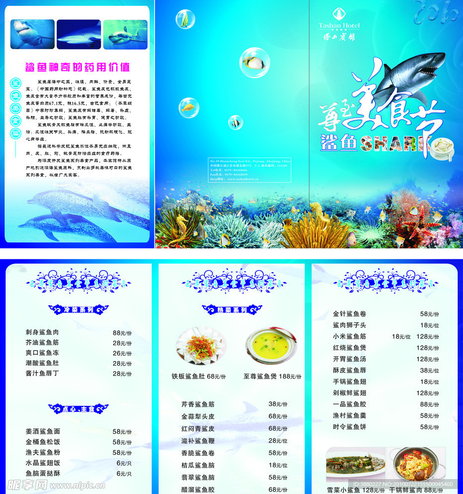 鲨鱼宣传册