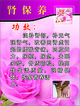 美容价目表