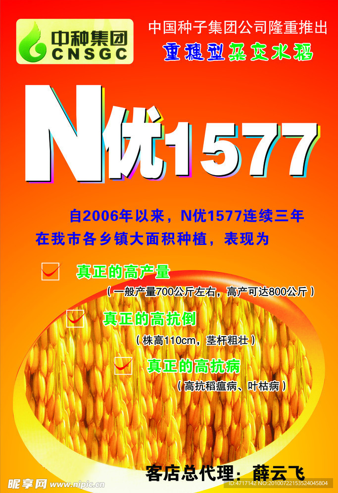 中国种子N优1577