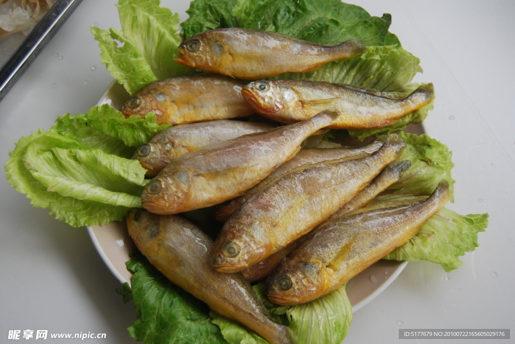 冷冻小黄鱼