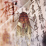 绘画