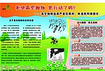 小区物业高空抛物海报
