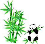 可爱熊猫吃竹图