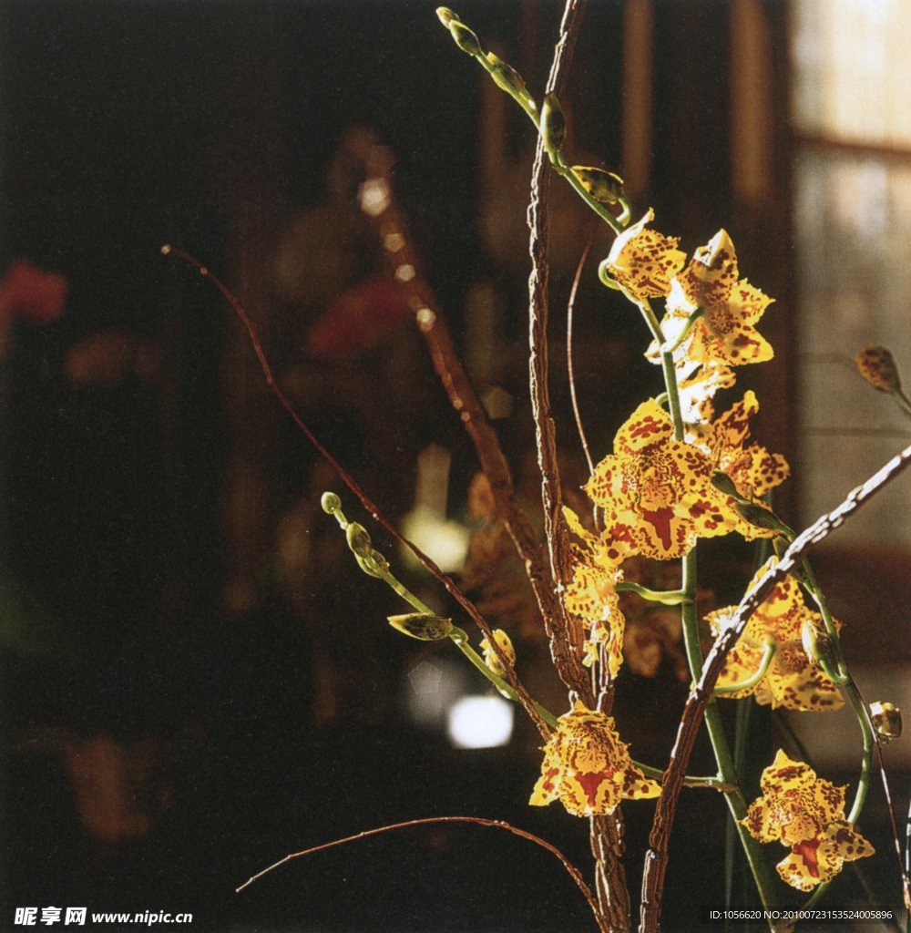 插花