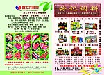 食品类宣传单