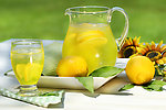 柠檬水果高清图片