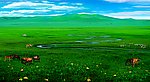 草原组合图