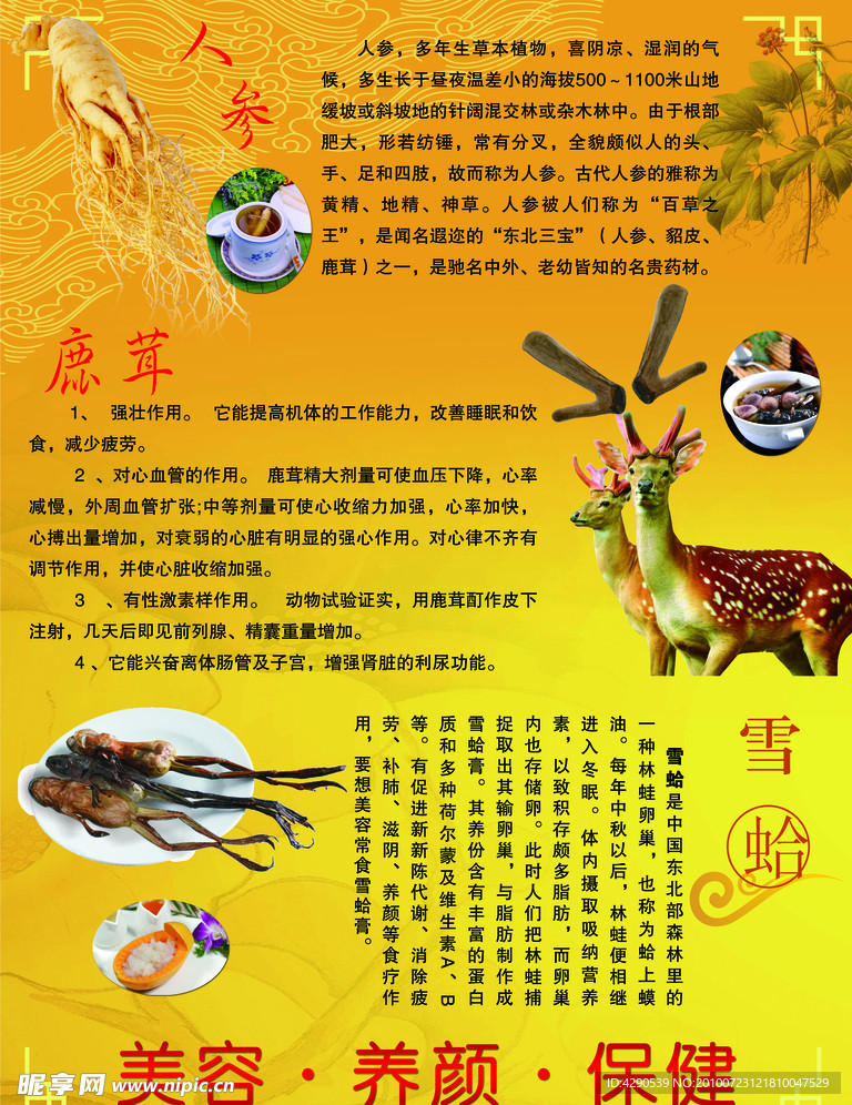 人参