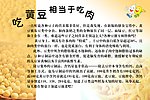 黄豆的功效