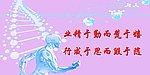 寓言标语