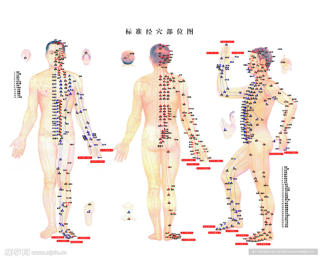 经穴图