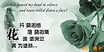 伤感