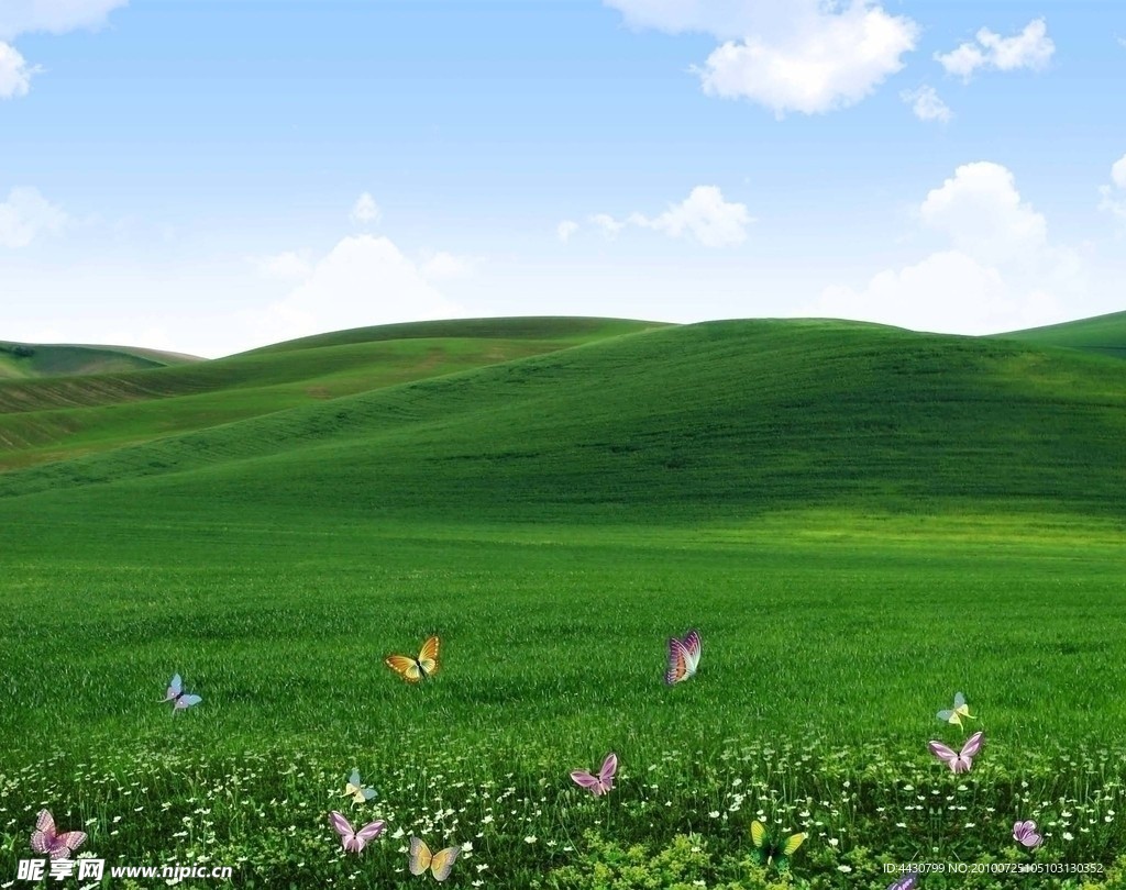 草地