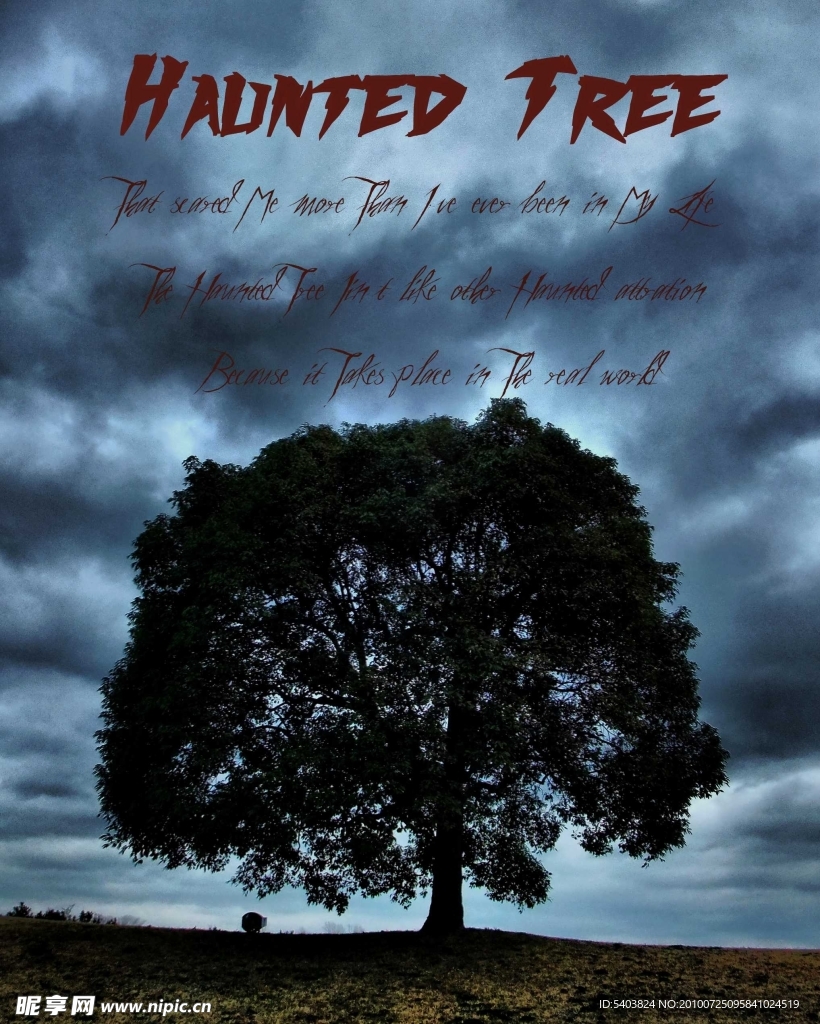 Haunted Tree 食人树