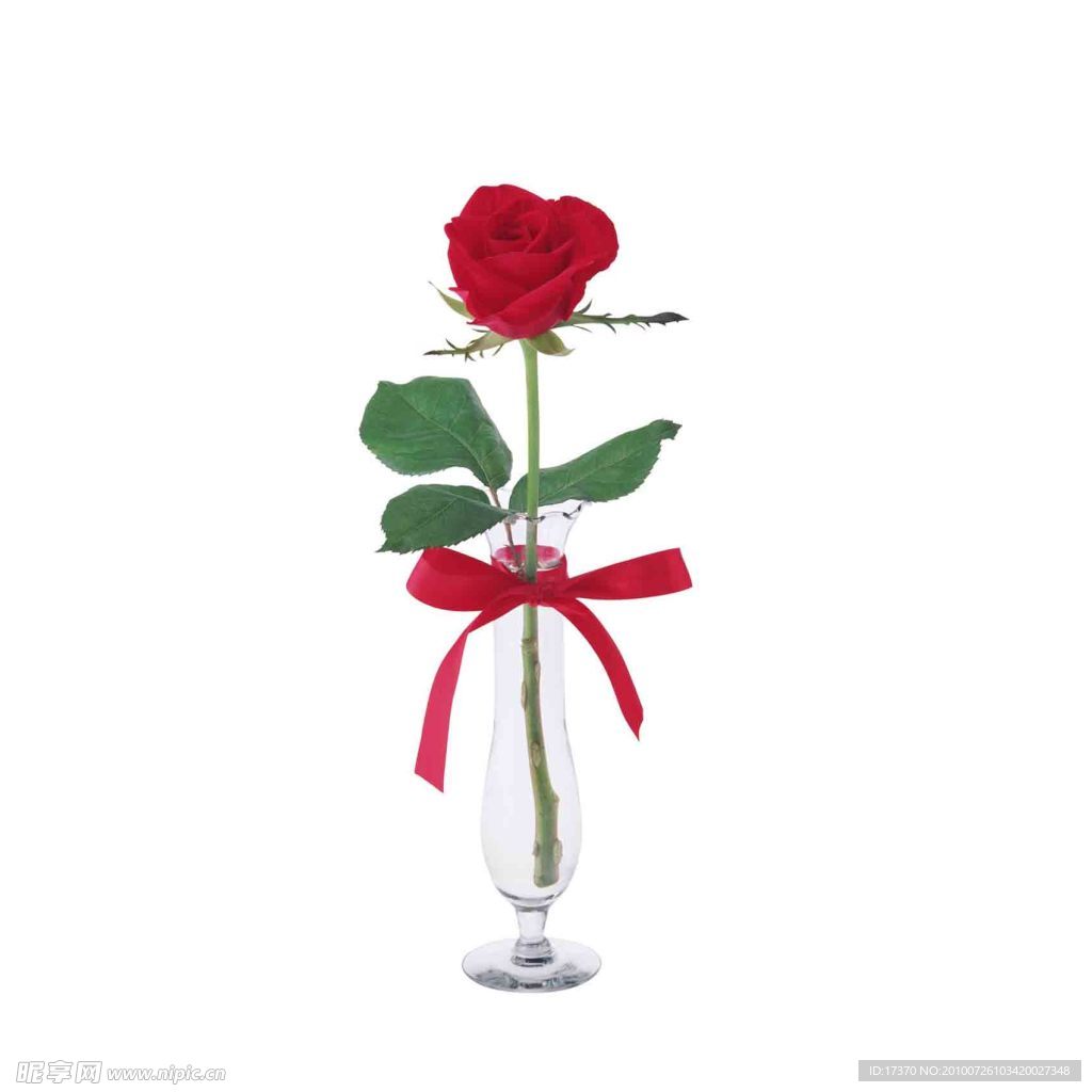 花 鲜花