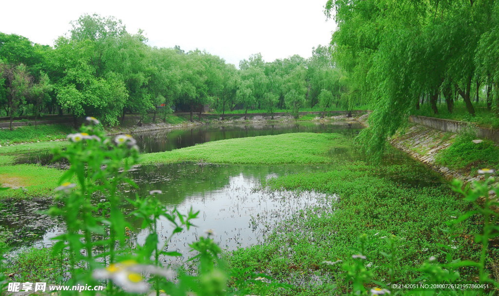 湿地风光