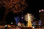 日本 札幌 大道公园 圣诞节之夜