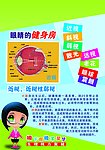 近视 近视性弱视