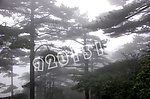 黄山