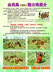 跑山鸡