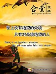 企业文化