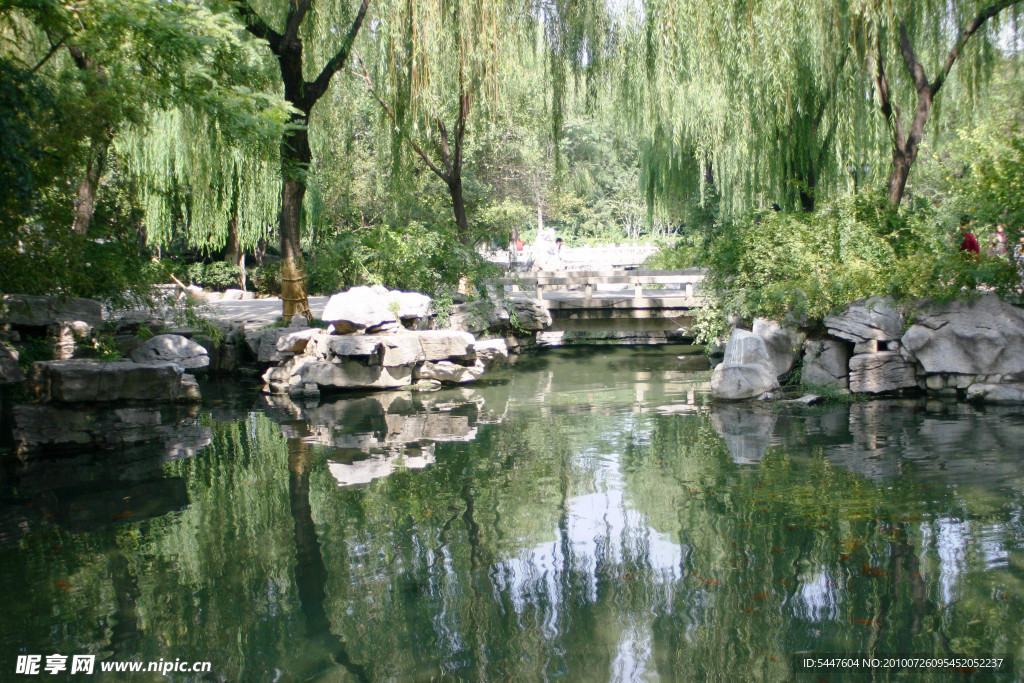 杨柳垂波