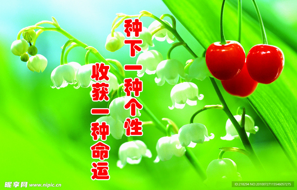 种下一种个性