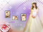 婚沙