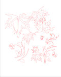 花纹