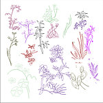 花纹