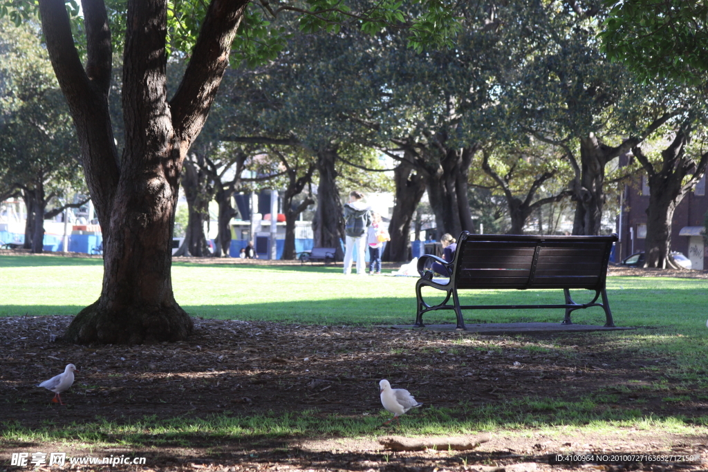 悉尼公园长凳