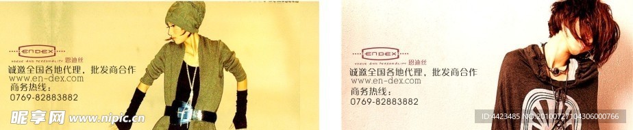 恩迪丝海报