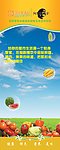 悠悠生活网易拉宝