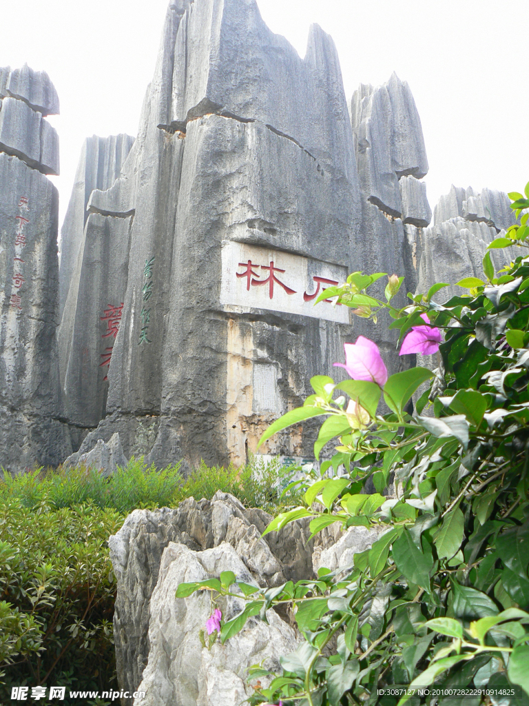 石林景观