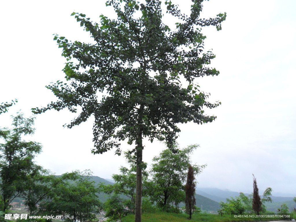 风景