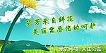 环保公益广告