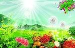 唯美花园