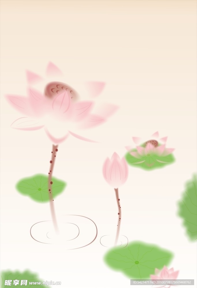 水墨荷花