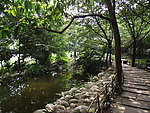 成都活水公园木板小路