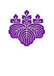 紫色花卉