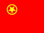 团旗