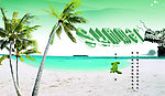 这个夏天