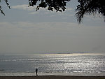 大海