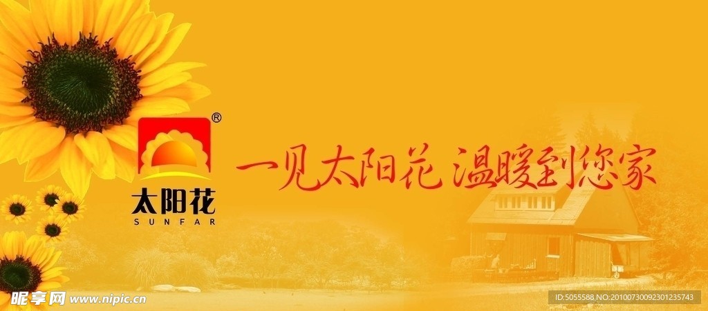 太阳花