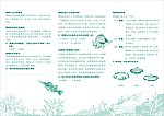 珊瑚