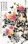 菊石图