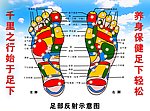 足底穴位