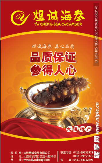 海参海报